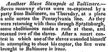 Another Slave Stampede