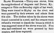 Slave Stampede