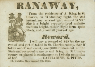 1854 Runaway Ad --Ann