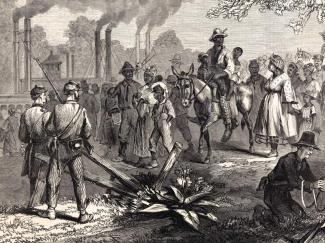 runaway slaves from Jefferson Davis's plantation gather behind Union lines
