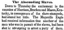 The Absconding Slaves