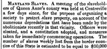Maryland Slaves