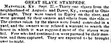 Great Slave Stampede