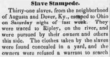 Slave Stampede