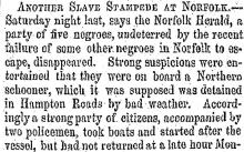 Another Slave Stampede at Norfolk