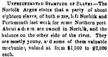 Unprecedented Stampede of Slaves