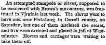 The John Brown Rebellion