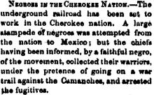 Negroes in the Cherokee Nation