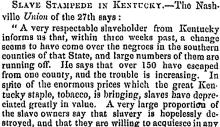 Slave Stampede in Kentucky