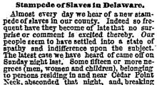 Stampede of Slaves in Delaware