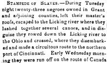 Stampede of Slaves