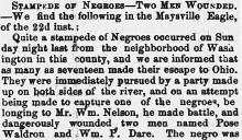 Stampede of Negroes
