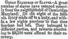 Great Stampede of Slaves