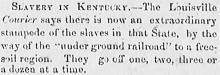 extraordinary stampede of slaves