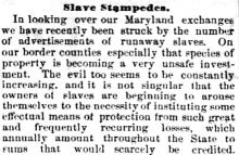 Slave Stampedes