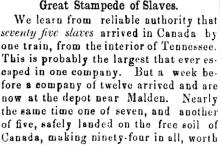 Great Stampede of Slaves
